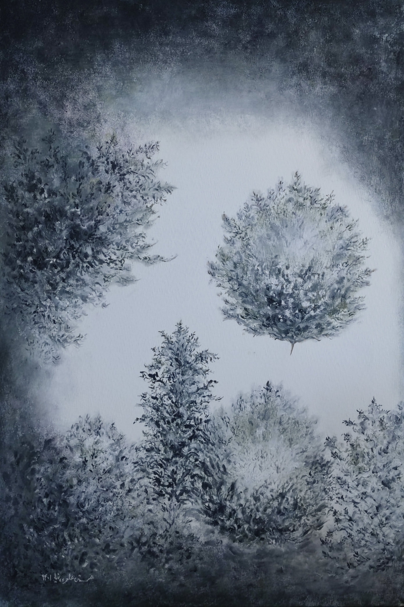 Light Solitude 2